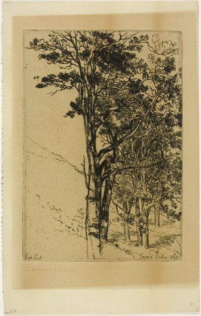冷杉（一项研究） 作者 弗朗西斯·西摩·哈登（Francis Seymour Haden）