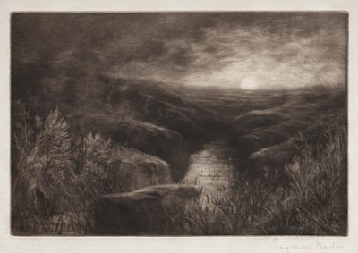 蚊子出没 作者 弗朗西斯·西摩·哈登（Francis Seymour Haden）