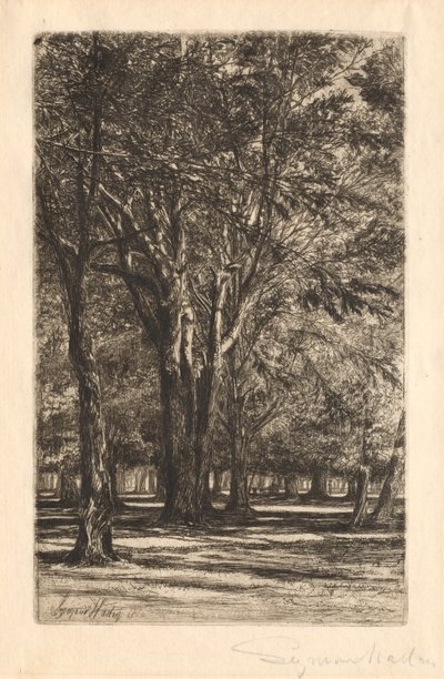 肯辛顿花园，第 2 号（大画板） 作者 弗朗西斯·西摩·哈登（Francis Seymour Haden）