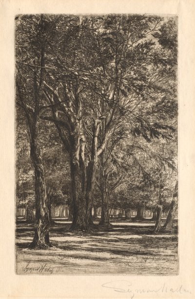 肯辛顿花园，第二大板块，1860年。 作者 弗朗西斯·西摩·哈登（Francis Seymour Haden）