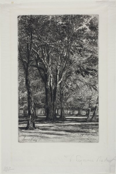 肯辛顿花园，第 II 号（大板） 作者 弗朗西斯·西摩·哈登（Francis Seymour Haden）