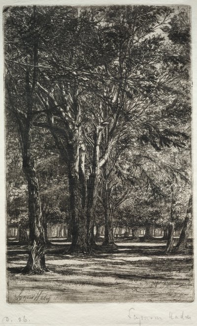 肯辛顿花园更大的盘子，1860年。 作者 弗朗西斯·西摩·哈登（Francis Seymour Haden）