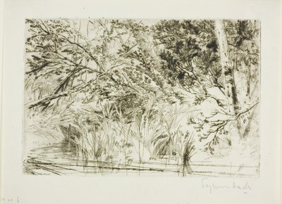 溪口，第二号 作者 弗朗西斯·西摩·哈登（Francis Seymour Haden）