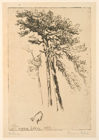苏格兰冷杉 作者 弗朗西斯·西摩·哈登（Francis Seymour Haden）