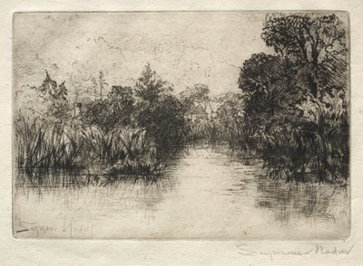 Shere Mill Pond小型研究。 作者 弗朗西斯·西摩·哈登（Francis Seymour Haden）