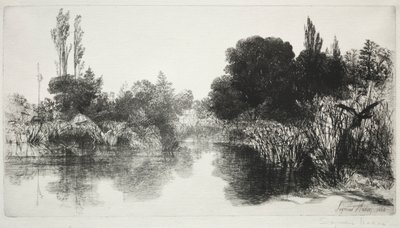 1860年及以后的Shere Mill Pond，第11号《大板块》。 作者 弗朗西斯·西摩·哈登（Francis Seymour Haden）