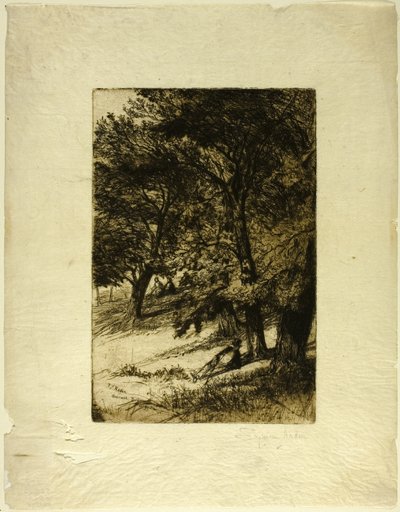 子制作... 作者 弗朗西斯·西摩·哈登（Francis Seymour Haden）