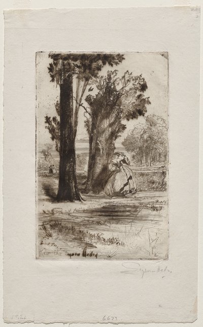 指派 作者 弗朗西斯·西摩·哈登（Francis Seymour Haden）