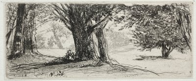 冬青田园 作者 弗朗西斯·西摩·哈登（Francis Seymour Haden）