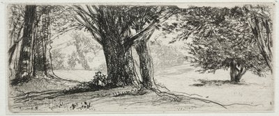 冬青田。 作者 弗朗西斯·西摩·哈登（Francis Seymour Haden）