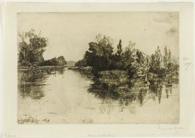 小岛，博伊尔斯农场 作者 弗朗西斯·西摩·哈登（Francis Seymour Haden）