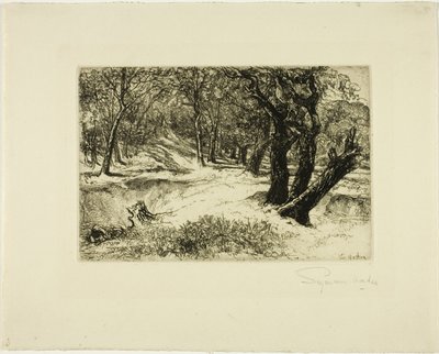 三姐妹 作者 弗朗西斯·西摩·哈登（Francis Seymour Haden）