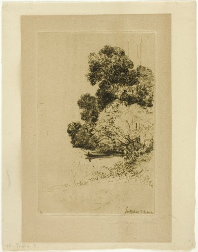 特威克纳姆灌木丛 作者 弗朗西斯·西摩·哈登（Francis Seymour Haden）