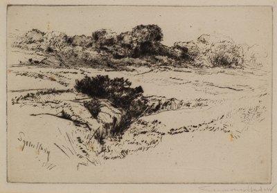 风车山2号 作者 弗朗西斯·西摩·哈登（Francis Seymour Haden）