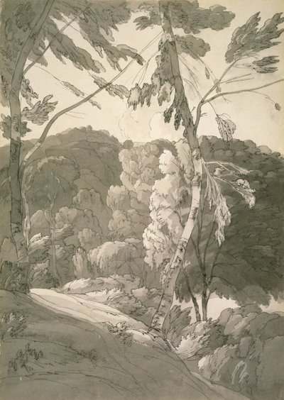 No.1091树木繁茂的景观（Indinowle的一个场景）1783（铅笔，钢笔和墨水在纸上洗） 作者 弗朗西斯·汤恩