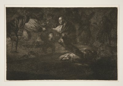 Dios los cria y ellos se juntan（上帝创造了他们，他们联合在一起），《谚语》系列第 18 页 作者 弗朗西斯科·德·戈雅
