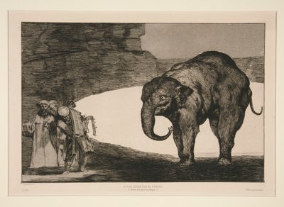 动物的愚蠢》（Disparate de bestia），《谚语》系列无编号版画 作者 弗朗西斯科·德·戈雅