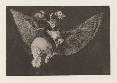 Disparate volante (Flying Folly)，又名《Reniego al amigo que cubre con las alas y muerde con el pico》，选自《Los disparates (Los proverbios)》系列。 作者 弗朗西斯科·德·戈雅
