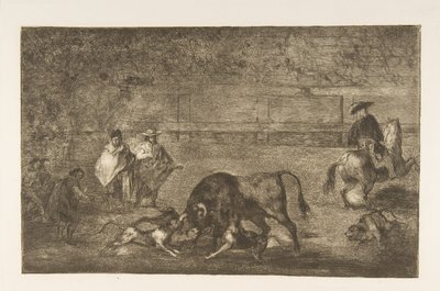 图C：狗在公牛上放松。 1816。 作者 弗朗西斯科·德·戈雅