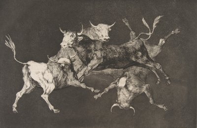 来自“异类”的板块D：愚人节或小公牛-大约…… 1816-23年于1877年之前出版。 作者 弗朗西斯科·德·戈雅