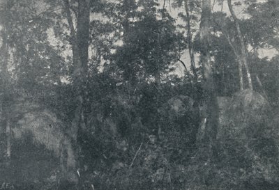 Cabanas de Indios，1895年 作者 弗朗西斯科·亨斯勒
