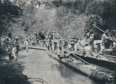 罗德斯托的探索。 Anastacio，1895年 作者 弗朗西斯科·亨斯勒