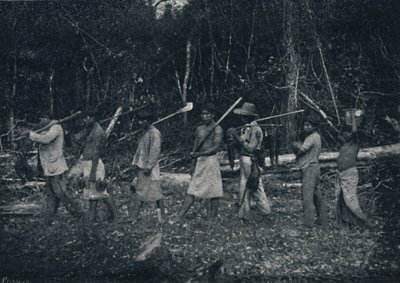 瓜拉尼印第安人从狩猎归来，1895年 作者 弗朗西斯科·亨斯勒