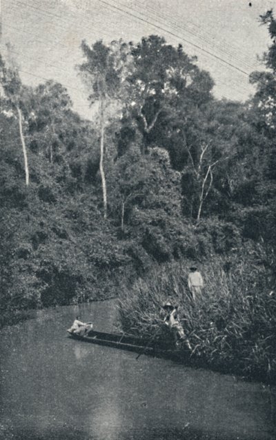Rio de S.Anastacio，1895年 作者 弗朗西斯科·亨斯勒
