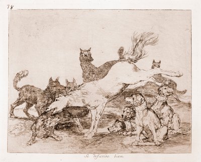 战争的灾难：他很好地捍卫了自己（根据预备画稿绘制的蚀刻版画 作者 弗朗西斯科·德·戈雅