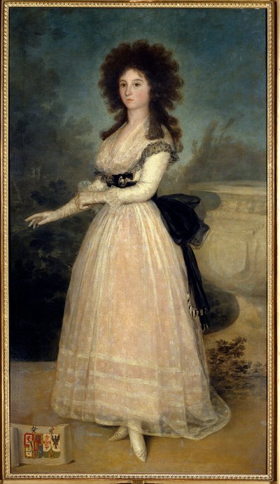 Dona Tadea Arias de Enriquez的足部肖像 弗朗西斯科-德-戈雅（1746-1828）（Ec. Esp）18世纪马德里。普拉多博物馆 - 多娜-塔德亚-阿里亚斯-德-恩里克斯的全身肖像。弗朗西斯科-德-戈雅(1746-1828)的画作(西班牙画派) 18世纪 作者 弗朗西斯科·德·戈雅