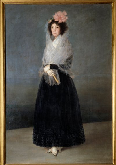 德尔卡皮奥伯爵夫人的肖像，索拉纳侯爵夫人 (1757-1795) 弗朗西斯科·德·戈雅 (Francisco de Goya)（1746-1828 年）18 世纪的画作。 1,81 x 1,22 m 作者 Francisco de Goya