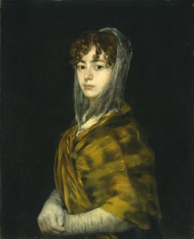 塞诺拉·萨瓦萨·加西亚（Senora Sabasa Garcia），约1806-11年（布面油画） 作者 弗朗西斯科·德·戈雅