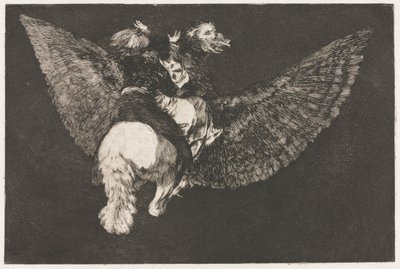 箴言：飞行愚蠢，1864年。 作者 弗朗西斯科·德·戈雅