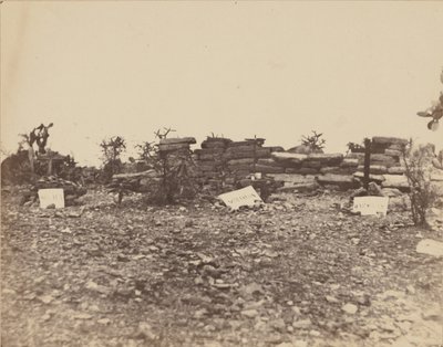 [死亡现场]，1867年。 作者 弗朗索瓦·奥伯特