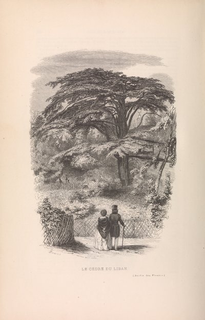 Le Jardin des Plantes, Descriptions et Moeurs des Mammiferes, 1842. 作者 弗朗索瓦·博伊塔尔