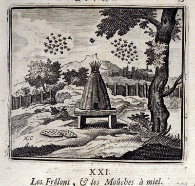 大黄蜂和蜜蝇Jean de La Fontaine (1621-95)的寓言。插图：François Chauveau（1613-1676）。1728年的版本。 作者 弗朗索瓦·夏维