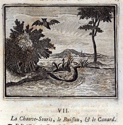 蝙蝠、灌木和鸭子。Jean de La Fontaine (1621-95)的寓言。插图：François Chauveau（1613-1676）。1728年的版本。 作者 弗朗索瓦·夏维