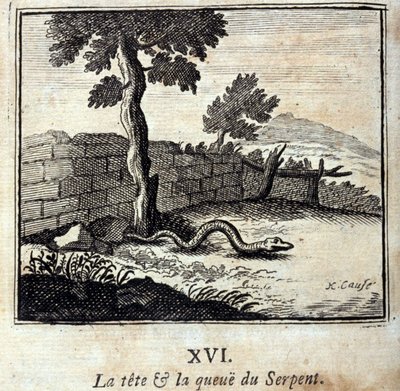 蛇的头和尾。Jean de La Fontaine (1621-95)的寓言。插图：François Chauveau（1613-1676）。1728年的版本。 作者 弗朗索瓦·夏维