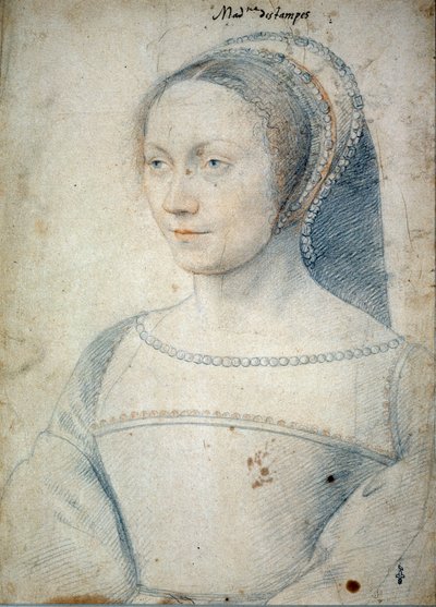 埃坦佩斯公爵夫人让·德·布拉什 (1508 - 1576) 的妻子安妮·德·皮塞勒 (Anne de Pisseleu) 的肖像。 弗朗索瓦·克鲁埃（Francois Clouet，1515-1572 年）用黑色石头和血作画 作者 弗朗索瓦·克鲁埃