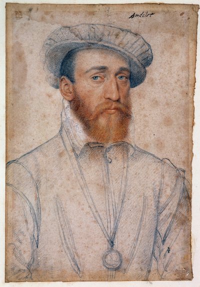 安德洛 (Andelot) 领主弗朗索瓦·德·科利尼 (Francois de Coligny) 的肖像 (1521 - 1569)。 克鲁埃·弗朗索瓦（Clouet Francois，1515-1572 年）绘制的血黑色石头 作者 François Clouet