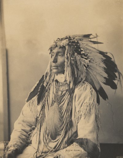 Kill Spotted Horse，Assiniboines，1898（铂钯印花） 作者 弗兰克·阿尔伯特·雷内哈特