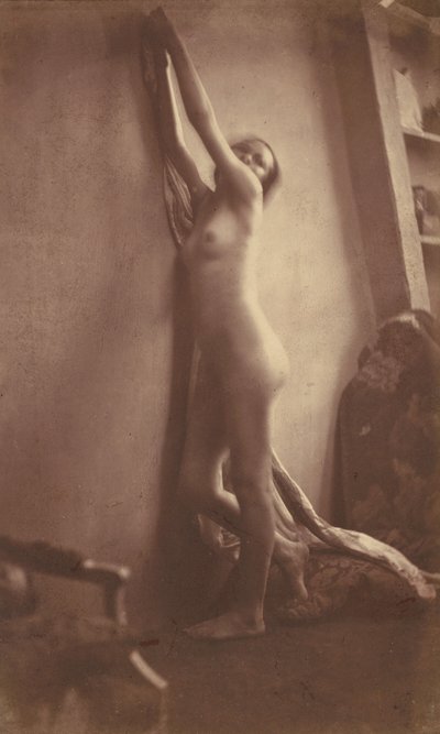 裸体，约1856年。 作者 Frank Chauvassaigne