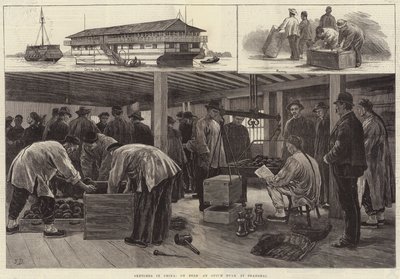 在中国的草图，在上海的鸦片绿巨人 作者 弗兰克·达德