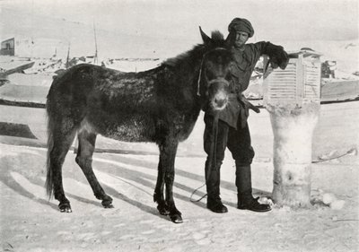 穆勒·拉尔·汗（Gran With Mule Lal Khan），1913年，1913年 作者 弗兰克·德本汉