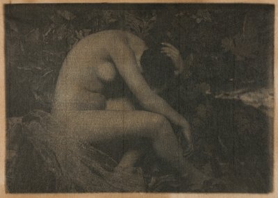 La Cigale 作者 弗兰克·尤金