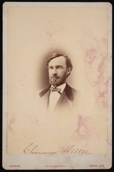 Chauncey Wiltse的肖像 1834-1894，1875-1876。 作者 Frank F Currier