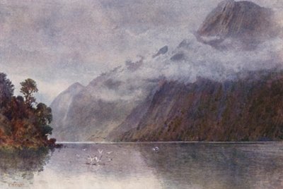 新西兰：米尔福德峡湾（彩色石版印刷） 作者 弗兰克·H·赖特