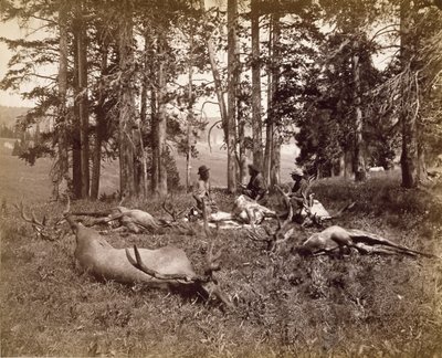 麋鹿猎人，黄石，1880年（蛋白银印） 作者 弗兰克·杰伊·海恩斯