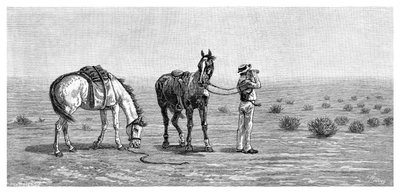 《视而不见》，1886年。 作者 弗兰克·马洪尼