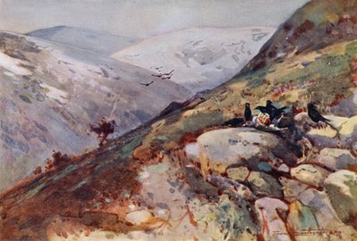 Near Kielder (colour litho) 作者 弗兰克·索斯盖特